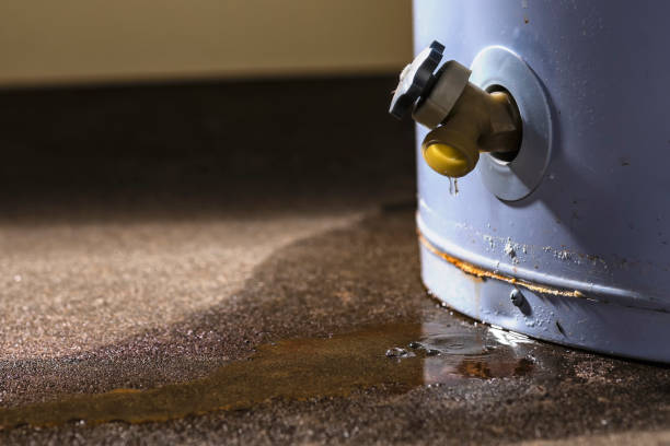 Best Flood restoration services  in East Patchogue, NY