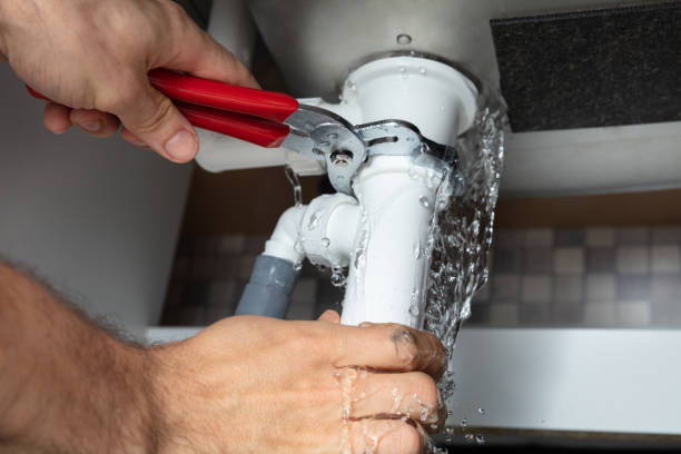 Best Water damage cleanup near me  in East Patchogue, NY