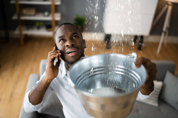 Best Water damage cleanup near me  in East Patchogue, NY