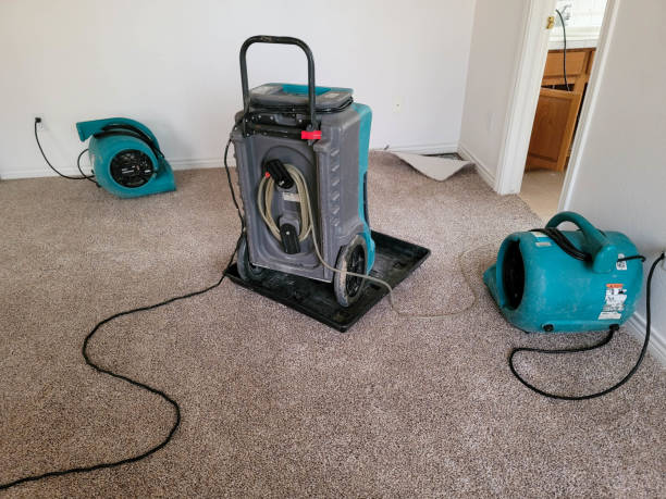 Best Commercial water damage restoration  in East Patchogue, NY