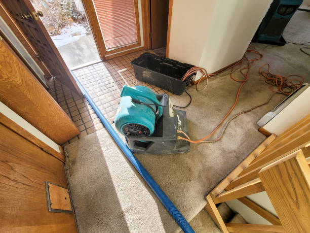 Best Local water damage restoration  in East Patchogue, NY