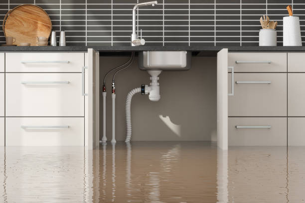 Best Carpet water damage restoration  in East Patchogue, NY