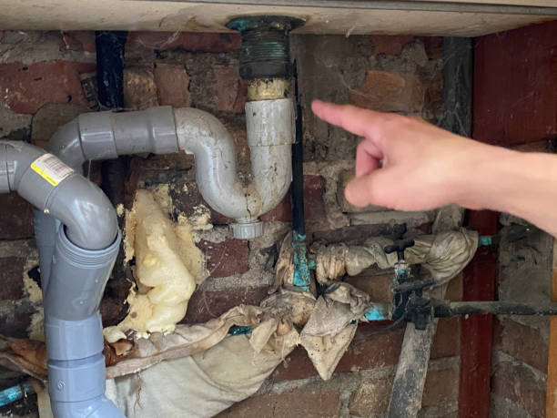 Best Ceiling water damage repair  in East Patchogue, NY