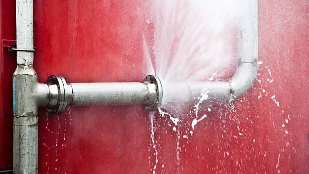  East Patchogue, NY Water damage restoration Pros